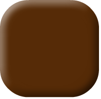 Acid Brown 283