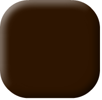 Acid Brown 355